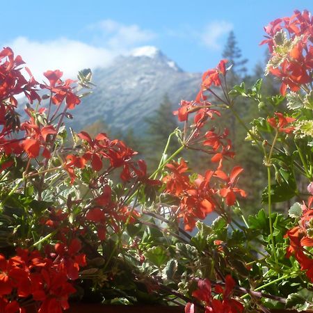 Erika Penzion Vysoké Tatry Exteriér fotografie